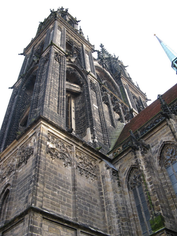 IMG_1260.jpg