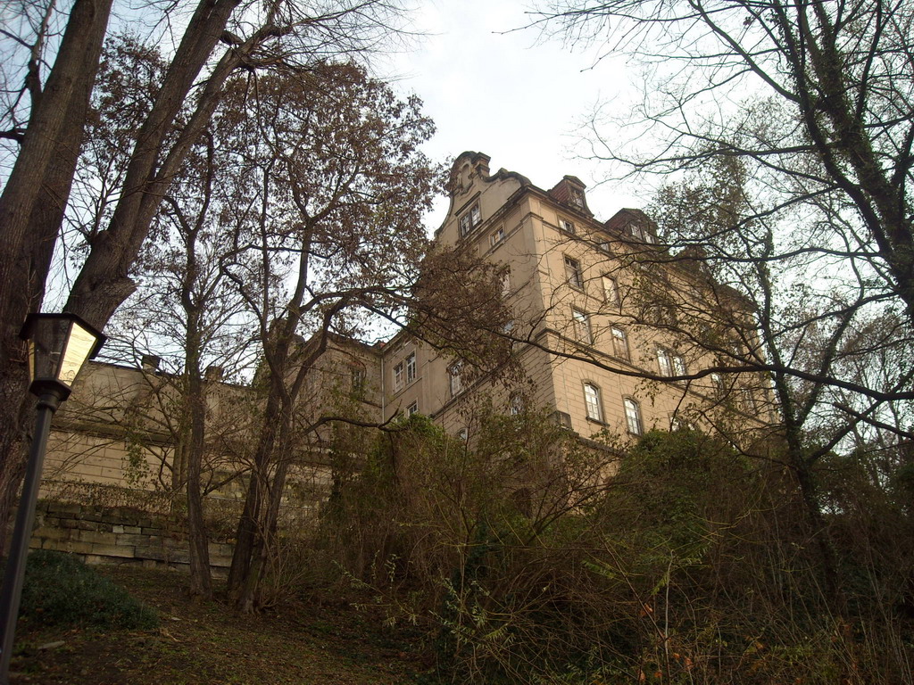 DSCN0424.jpg