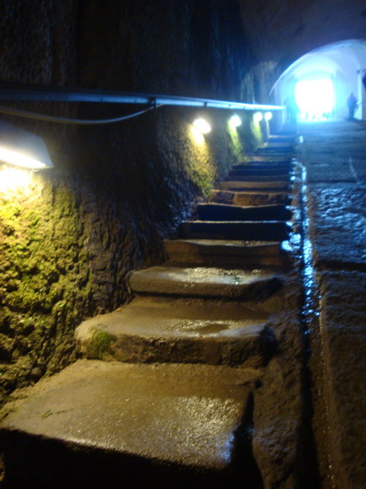 DSC04303.jpg